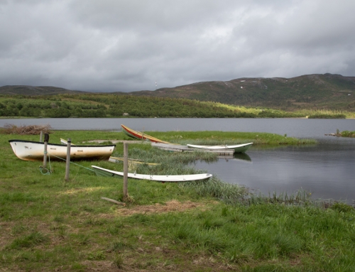 Fiske i fjellvann