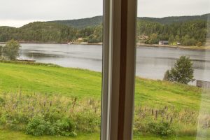 Nystua